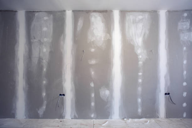 Best Drywall for Remodeling  in Danvers, IL